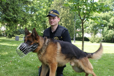 Strażnik Miejski z psem policyjnym