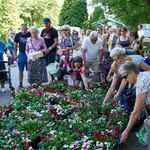 Mieszkańcy Białegostoku odbierają stokrotki w parku Planty