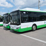 Rząd nowych autobusów elektrycznych. Autobusy są biało-zielone