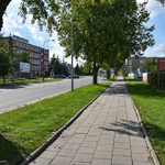 Ilustracja do artykułu 170919 sciezka pogodna hetmanska-1.jpg