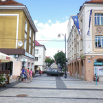 Ilustracja do artykułu 171006 konkurs na pomnik Zamenhofa-2.jpg