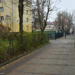Ilustracja do artykułu 171124 siegacz Ogrodowa-1.jpg