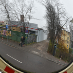 Ilustracja do artykułu 171124 siegacz Ogrodowa-2.jpg