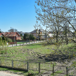Ilustracja do artykułu 180420 Boisko ul Szkolna-3.jpg