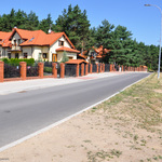 Ilustracja do artykułu bacieczki-3.jpg