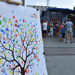 Ilustracja do artykułu 160912 Festyn BFO-55.jpg