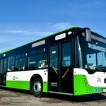 stojący biało - zielony autobus