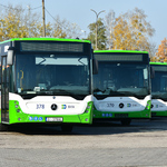 5 stojących przodem biało - zielonych autobusów