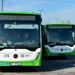 5 stojących przodem biało - zielonych autobusów
