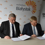Ilustracja do artykułu DSC_8931.JPG