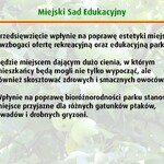 Ilustracja do artykułu Slajd04.JPG