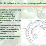 Ilustracja do artykułu Slajd09.JPG