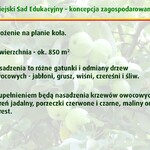 Ilustracja do artykułu Slajd08.JPG