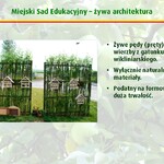 Ilustracja do artykułu Slajd13.JPG