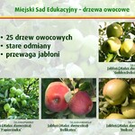 Ilustracja do artykułu Slajd10.JPG