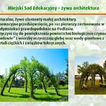 Ilustracja do artykułu Slajd12.JPG