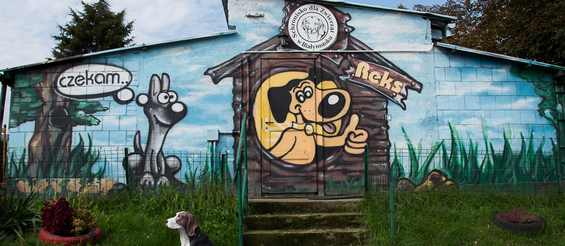 Mural przedstawiający dwa psy