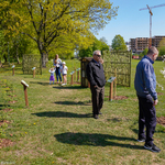 Rozdawanie drzewek owocowych w Sadzie edukacyjnym w Parku Antoniuk