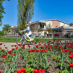 Ilustracja do artykułu 190426 biker-3.jpg
