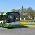 Ilustracja do artykułu 190423 Miasto kwiaty autobus park-34.jpg