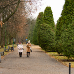 Ludzie spacerują w parku