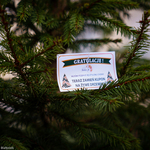 191219 Choinki-28.jpg