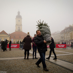 Choinki na Rynku Kościuszki