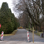 Inwestycja w parku planty