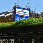 191016 Jesien-49.jpg