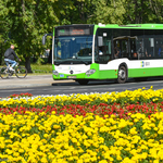180614 autobus kwiaty-1.jpg