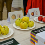 Stół na którym zaprezentowano różne rodzaje jabłek oraz ich nazwy na etykietach