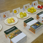 Stół na którym zaprezentowano różne rodzaje jabłek oraz książki Bioróżnorodność