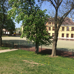 Boisko Szkoły Podstawowej Nr 3 - Zdjęcie nr 2