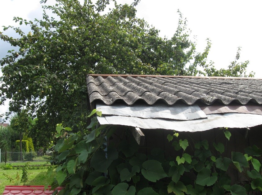 zdjęcie azbestu na dachu budynku.jpg