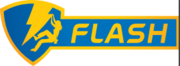 Logo Flash 