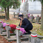Młoda harcerka stawiająca kwiaty na grobach bohaterów
