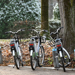 Trzy rowery BiKeR w parku, przypięte do stojaka