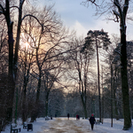 Mieszkańcy spacerujący zimą alejkami w Parku Planty