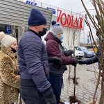 Mieszkańcy odbierający drzewka przy ulicy Wrocławskiej