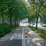 Podwieszana ścieżka rowerowa przy ulicy Kalinowskiego, po jej obu stronach rosną kasztanowce