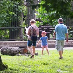 Rodzina biorąca udział w grze miejskiej, po lewej stronie kobieta patrzy w mapkę, chłopiec pokazuje zamieszczoną przy drzewie wskazówkę, mężczyzna idzie w kierunku syna