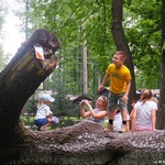 Chłopiec stojący na zwalonym konarze drzewa, odnajduje wskazówkę do gry terenowej, w tle widać innych uczestników zabawy
