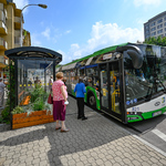 Autobus stojący na zielonym przystanku