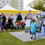 Dzieci budujące z klocków obrazki, w tle namiot Urzędu Miasta