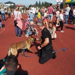 Funkcjonariusz Straży Miejskiej z psem służbowym na boisku, daje mu smakołyk, wokół stojący ludzie
