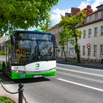 Autobus biało-zielony wyjeżdżający zza drzewa, w tle kamienice