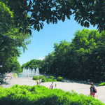 Widok spomiędzy drzew na park oraz fontanny