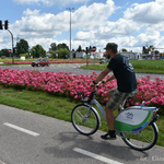 Mężczyzna jedzie na miejskim rowerze po ścieżce rowerowej