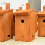 Drewniane budki lęgowe dla ptaków