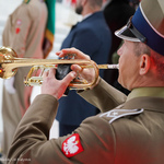 Żołnierz z Orkiestry Reprezentacyjnej Wojska Polskiego wykonuje utwór